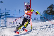 FIS Baltijas kauss 2022 5.posms, SL, Foto: E.Lukšo