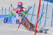 FIS Baltic Cup 2018 3. posms, jauniešu un meistaru SL, Foto: Emīls Lukšo