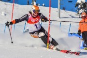 FIS Baltic Cup 2018 3. posms, jauniešu un meistaru SL, Foto: Emīls Lukšo