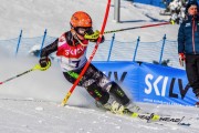 FIS Baltic Cup 2018 3. posms, jauniešu un meistaru SL, Foto: Emīls Lukšo