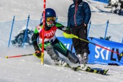 FIS Baltic Cup 2018 3. posms, jauniešu un meistaru SL, Foto: Emīls Lukšo