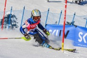 FIS Baltic Cup 2018 3. posms, jauniešu un meistaru SL, Foto: Emīls Lukšo