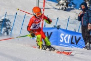 FIS Baltic Cup 2018 3. posms, jauniešu un meistaru SL, Foto: Emīls Lukšo