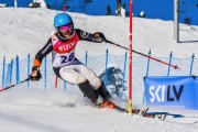 FIS Baltic Cup 2018 3. posms, jauniešu un meistaru SL, Foto: Emīls Lukšo