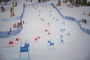 FIS Baltijas kauss 2022 5.posms, PSL, Foto: E.Lukšo