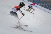 FIS Baltijas kauss 2022 5.posms, PSL, Foto: E.Lukšo