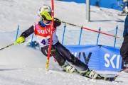 FIS Baltic Cup 2018 3. posms, jauniešu un meistaru SL, Foto: Emīls Lukšo