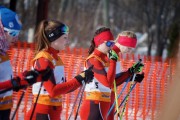 FIS Latvijas Čempionāts 2018 otrais posms, sprints C, Foto: Jānis Vīksna