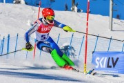 FIS Baltic Cup 2018 3. posms, jauniešu un meistaru SL, Foto: Emīls Lukšo