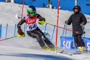 FIS Baltic Cup 2018 3. posms, jauniešu un meistaru SL, Foto: Emīls Lukšo