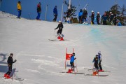 FIS Baltijas kauss 2022 5.posms, FIS GS, Foto: E.Lukšo