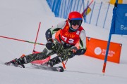 FIS Baltijas kauss 2022 5.posms, FIS GS, Foto: E.Lukšo