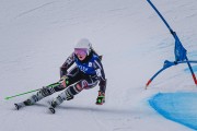 FIS Baltijas kauss 2022 5.posms, FIS GS, Foto: E.Lukšo