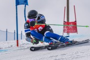 FIS Baltijas kauss 2022 5.posms, FIS GS, Foto: E.Lukšo