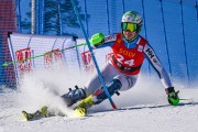 FIS Baltijas kauss 2022 5.posms, FIS NJC SL, Foto: E.Lukšo