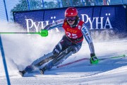 FIS Baltijas kauss 2022 5.posms, FIS NJC SL, Foto: E.Lukšo