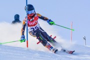 FIS Baltic Cup 2018 3. posms, jauniešu un meistaru SL, Foto: Emīls Lukšo