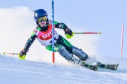 FIS Baltic Cup 2018 3. posms, jauniešu un meistaru SL, Foto: Emīls Lukšo