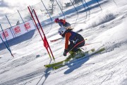 FIS Baltijas kauss 2022 5.posms, FIS PSL, Foto: E.Lukšo