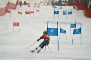 FIS Baltijas kauss 2023 1.posms, FIS paralēlais slaloms, Foto: E.Lukšo