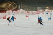 FIS Baltijas kauss 2023 1.posms, FIS paralēlais slaloms, Foto: E.Lukšo