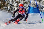 FIS Baltic Cup 2018 3. posms, jauniešu un meistaru PSL kvalifikācija, Foto: Emīls Lukšo