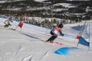 FIS Baltic Cup 2018 3. posms, jauniešu un meistaru PSL fināli, Foto: Emīls Lukšo