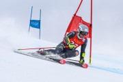 FIS Baltijas kauss 2023 Pozza di Fassa, FIS GS Latvijas NC, Foto: E.Lukšo