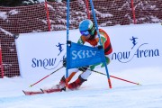 FIS Baltijas kauss 2023 Pozza di Fassa, FIS GS Lietuvas NC, Foto: E.Lukšo