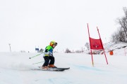 Vilciņa kauss, 2.posms - Fans balvas izcīņa