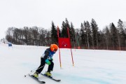 Vilciņa kauss, 2.posms - Fans balvas izcīņa