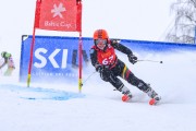 FIS Baltijas kauss 2023 3. posms, jauniešu un meistaru GS, Foto: E.Lukšo