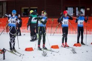 FIS Latvijas Čempionāts 2018 otrais posms, sprints C, Foto: Jānis Vīksna