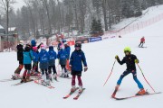 FIS Baltijas kauss 2023 3. posms, jauniešu un meistaru GS, Foto: E.Lukšo