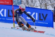 FIS Baltijas kauss 2023 3. posms, jauniešu un meistaru GS, Foto: E.Lukšo