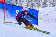 FIS Baltijas kauss 2023 3. posms, jauniešu un meistaru GS, Foto: E.Lukšo