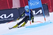 FIS Baltijas kauss 2023 3. posms, jauniešu un meistaru GS, Foto: E.Lukšo