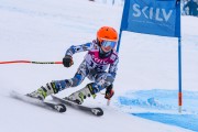 FIS Baltijas kauss 2023 3. posms, jauniešu un meistaru GS, Foto: E.Lukšo