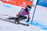 FIS Baltijas kauss 2023 3. posms, jauniešu un meistaru GS, Foto: E.Lukšo