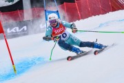 FIS Baltijas kauss 2023 3. posms, jauniešu un meistaru GS, Foto: E.Lukšo