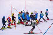 FIS Baltijas kauss 2023 3. posms, jauniešu un meistaru SL, Foto: E.Lukšo