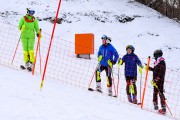 FIS Baltijas kauss 2023 3. posms, jauniešu un meistaru SL, Foto: E.Lukšo