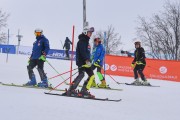 FIS Baltijas kauss 2023 5. posms, FIS SL sacensības un FIS paralēlais slaloms, Foto: E.Lukšo