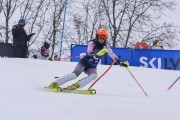 FIS Baltijas kauss 2023 5. posms, FIS SL sacensības un FIS paralēlais slaloms, Foto: E.Lukšo