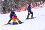 FIS Baltijas kauss 2023 5. posms, FIS SL sacensības un FIS paralēlais slaloms, Foto: E.Lukšo