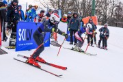 FIS Baltijas kauss 2023 5. posms, FIS SL sacensības un FIS paralēlais slaloms, Foto: E.Lukšo