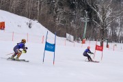 FIS Baltijas kauss 2023 5. posms, FIS SL sacensības un FIS paralēlais slaloms, Foto: E.Lukšo