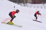 FIS Baltijas kauss 2023 5. posms, FIS SL sacensības un FIS paralēlais slaloms, Foto: E.Lukšo