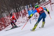 FIS Baltijas kauss 2023 5. posms, FIS SL sacensības un FIS paralēlais slaloms, Foto: E.Lukšo