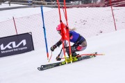 FIS Baltijas kauss 2023 5. posms, FIS SL sacensības un FIS paralēlais slaloms, Foto: E.Lukšo